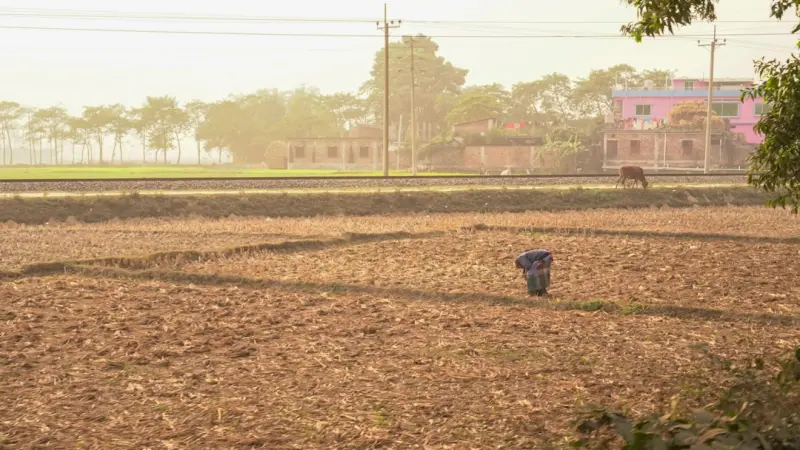 From Soil to Plate: How Local Farms Shape the Best Restaurants From Soil to Plate: How Local Farms Shape the Best Restaurants