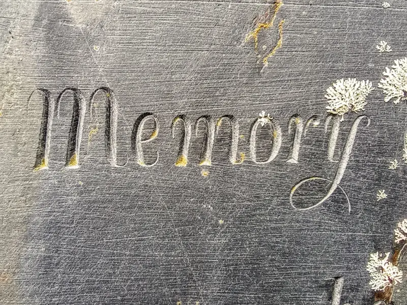 How Personal Memory Shapes the Fine‑Dining Experience How Personal Memory Shapes the Fine‑Dining Experience