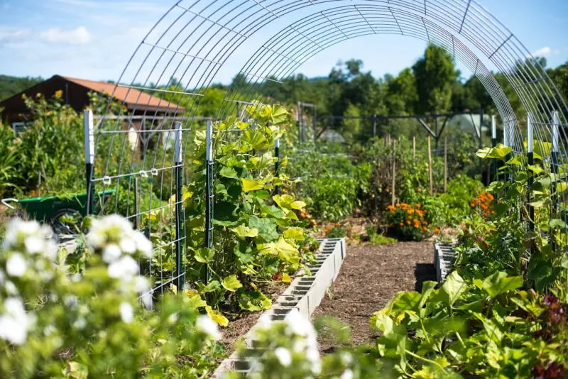 Hyper‑Local Harvest: How Restaurants Growing Their Own Gardens Are Changing Dining