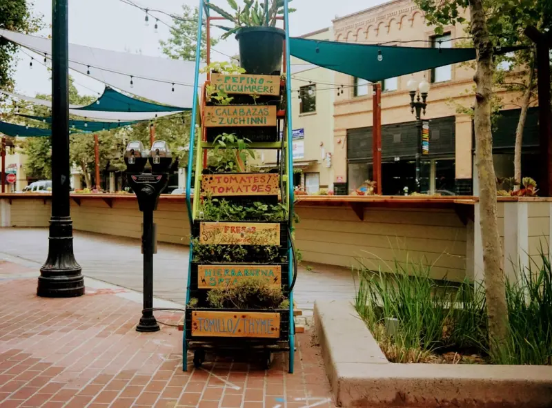 From Seed to Plate: How Urban Farm‑To‑Table Restaurants Are Redefining Freshness